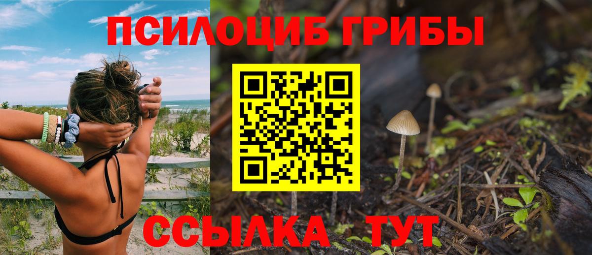 ГАШ Димитровград